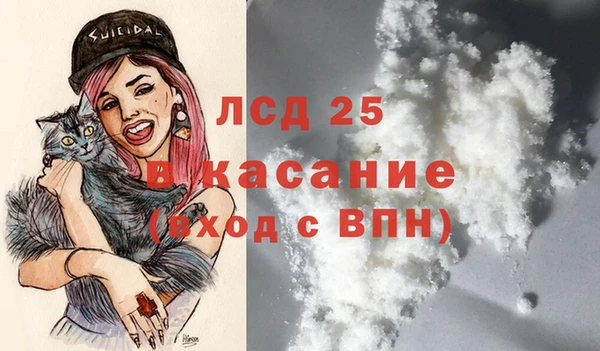 молекула духа Новозыбков