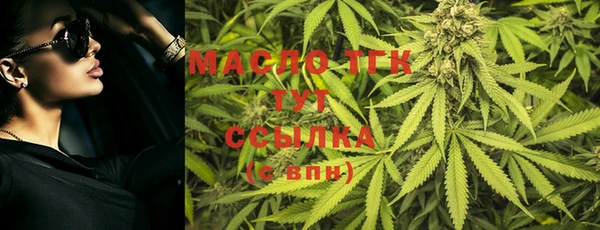 молекула духа Новозыбков