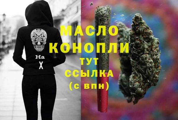 молекула духа Новозыбков