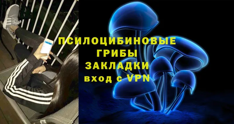 Галлюциногенные грибы MAGIC MUSHROOMS  hydra зеркало  Кедровый 